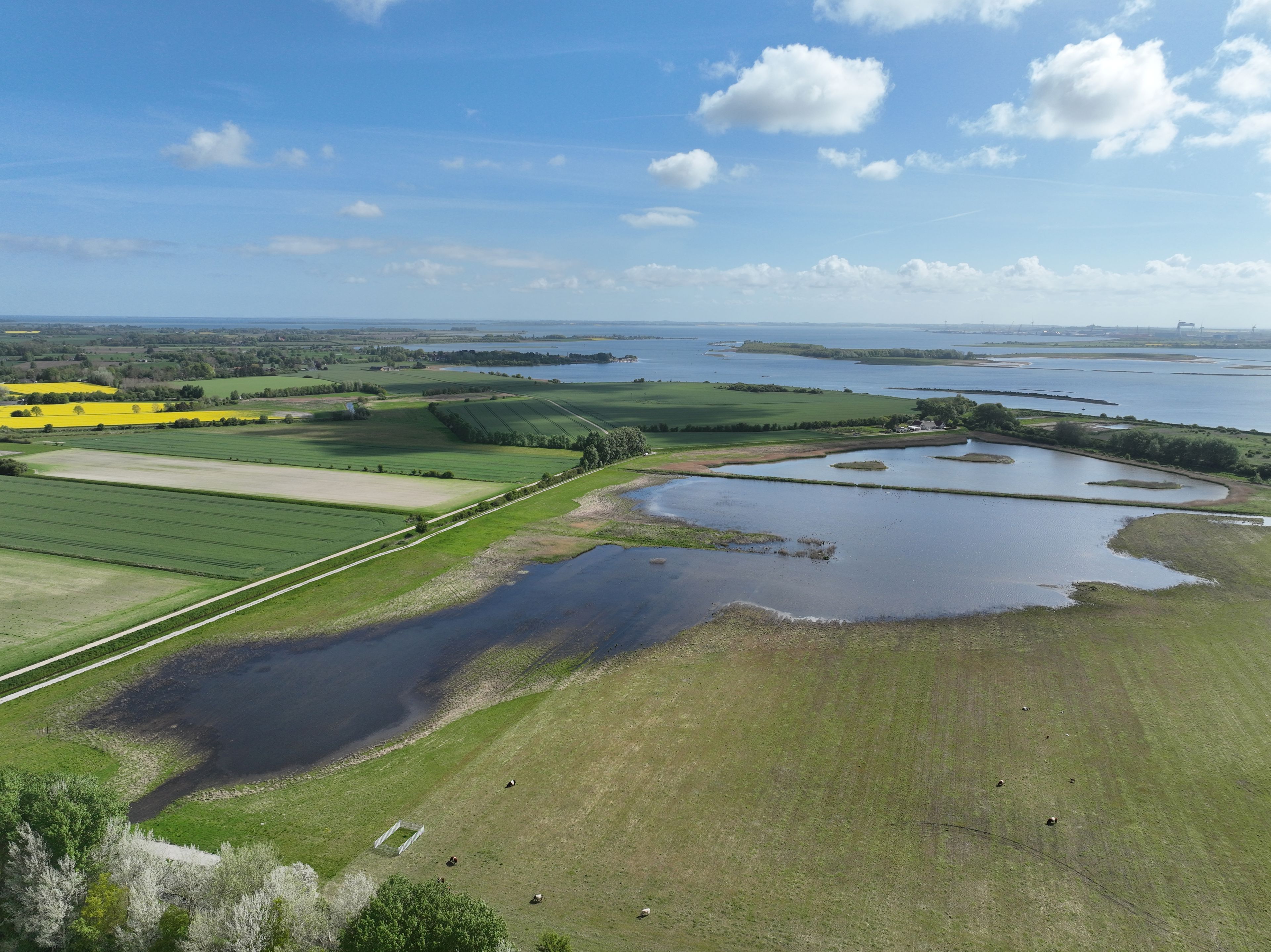 Luftfoto af et vådområdeprojekt
