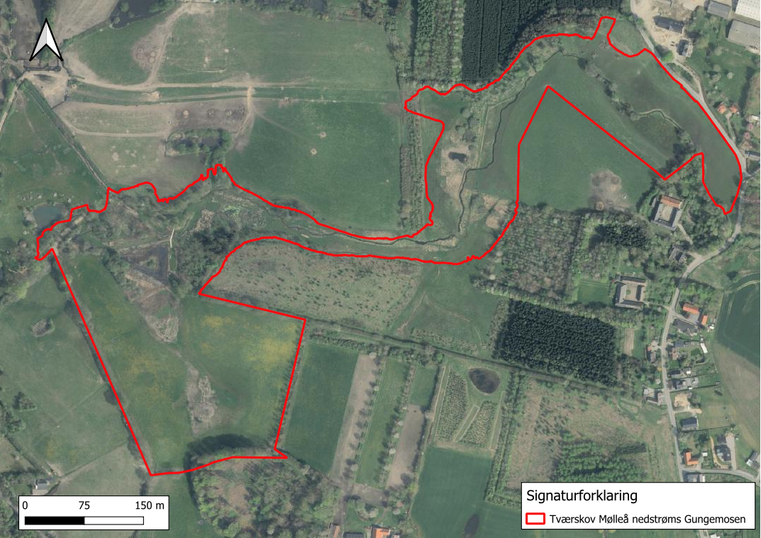 Oversigtskort over beliggenheden af det anlagte vådområdeprojekt ved Tværskov Mølle Å nedstrøms Gungemosen