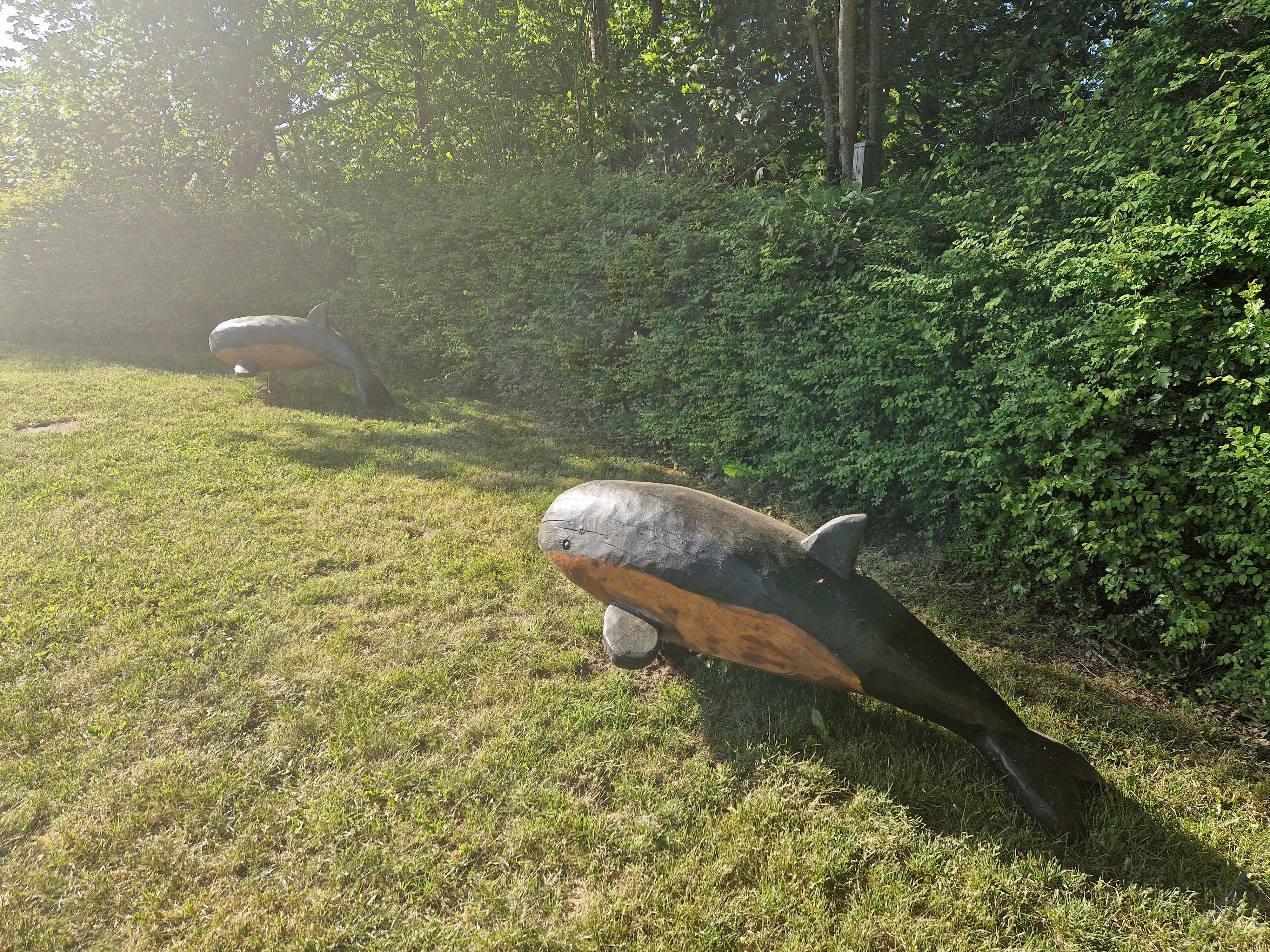 Træskulpturer, der forestiller marsvin